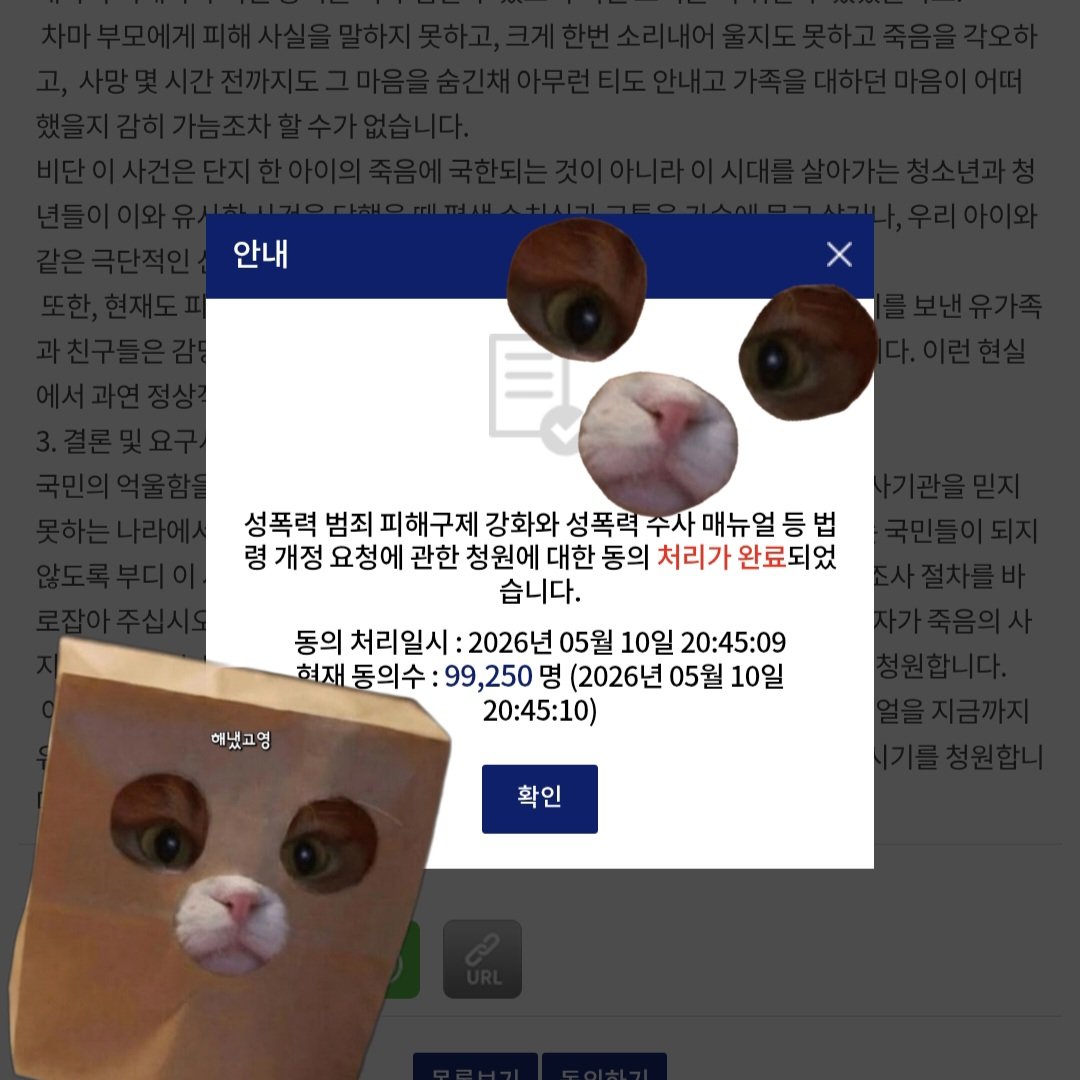 해냈고영🐈⬛ tweet media