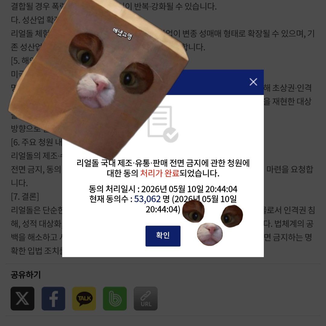 해냈고영🐈⬛ tweet media