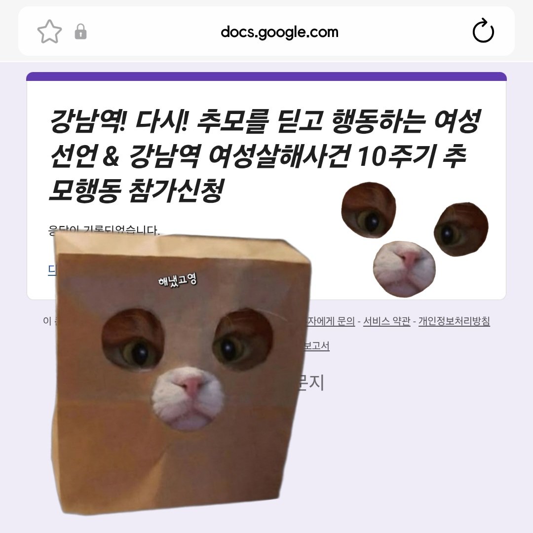 해냈고영🐈⬛ tweet media