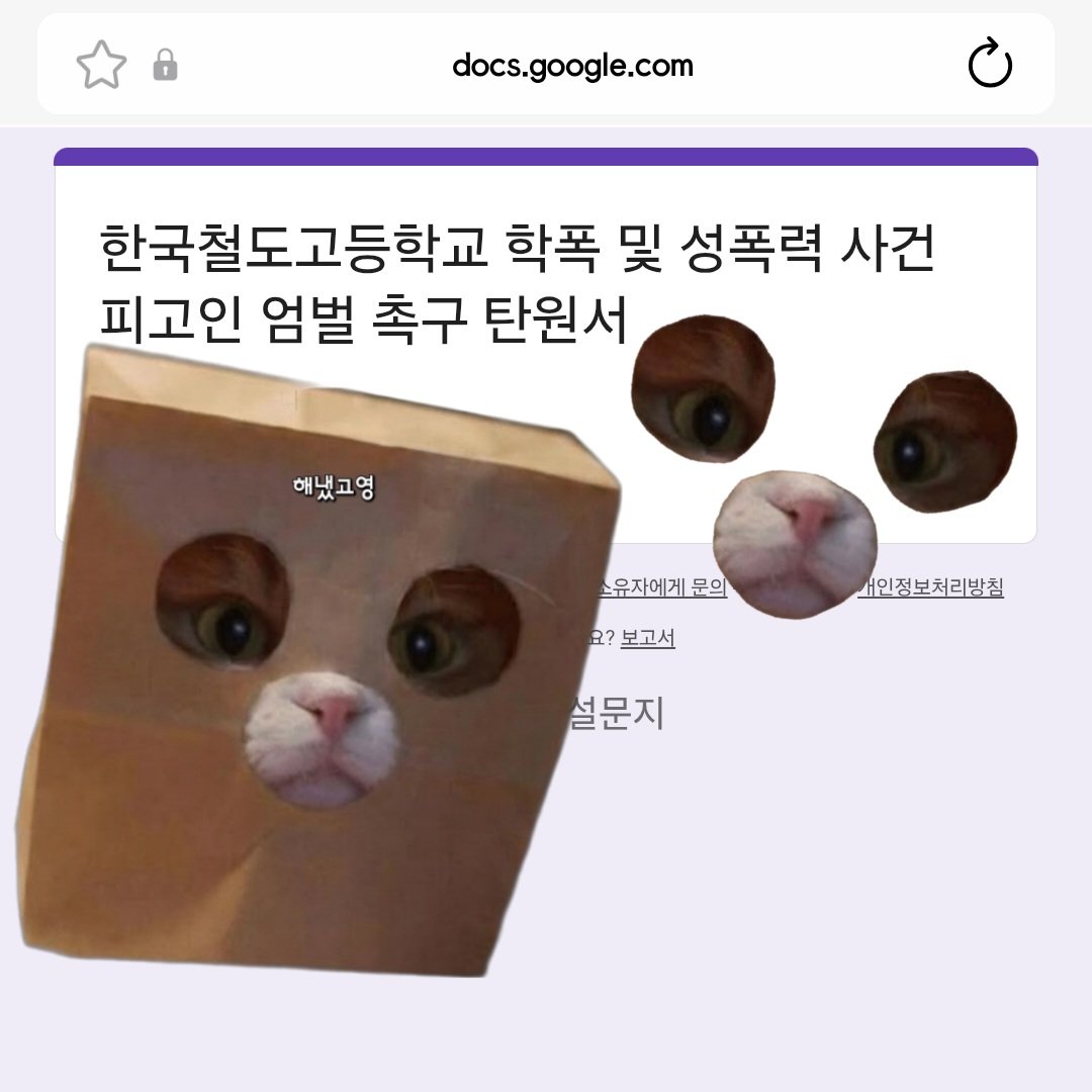 해냈고영🐈⬛ tweet media