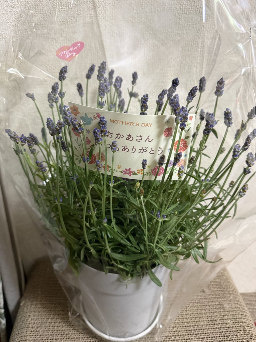 めぐみこ❤️お花屋さん (@megumiko4187) / Posts / X