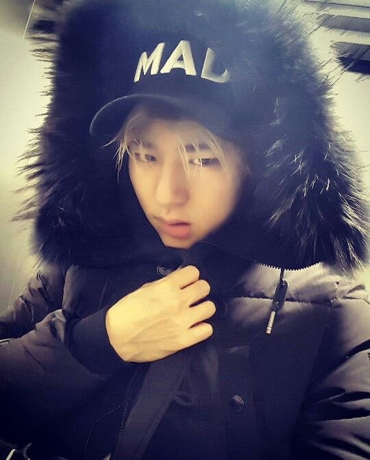 코호 tweet media