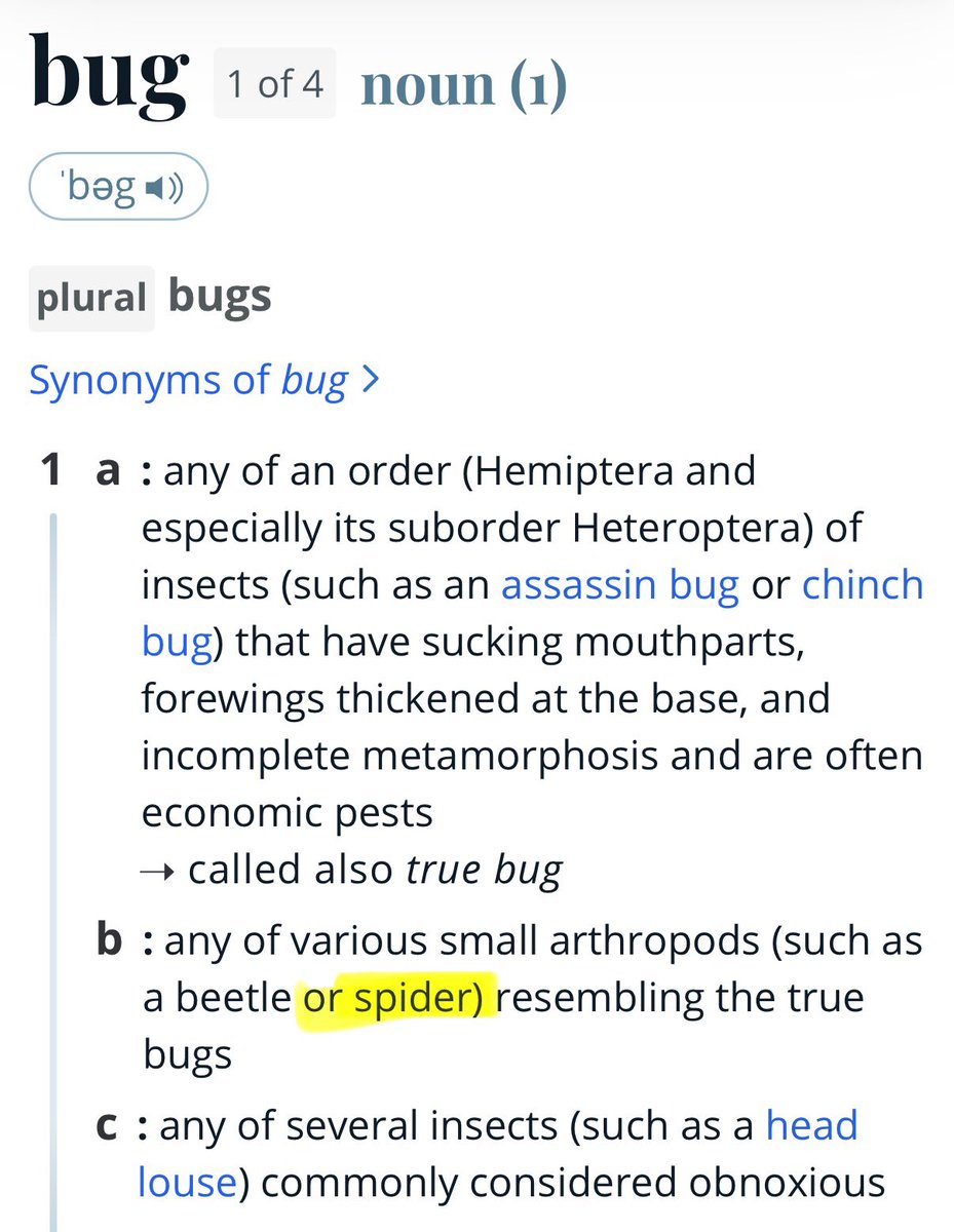 FavesPlus's tweet photo. "um actually spiders aren't bugs" https://t.co/J2OFEbdtvD