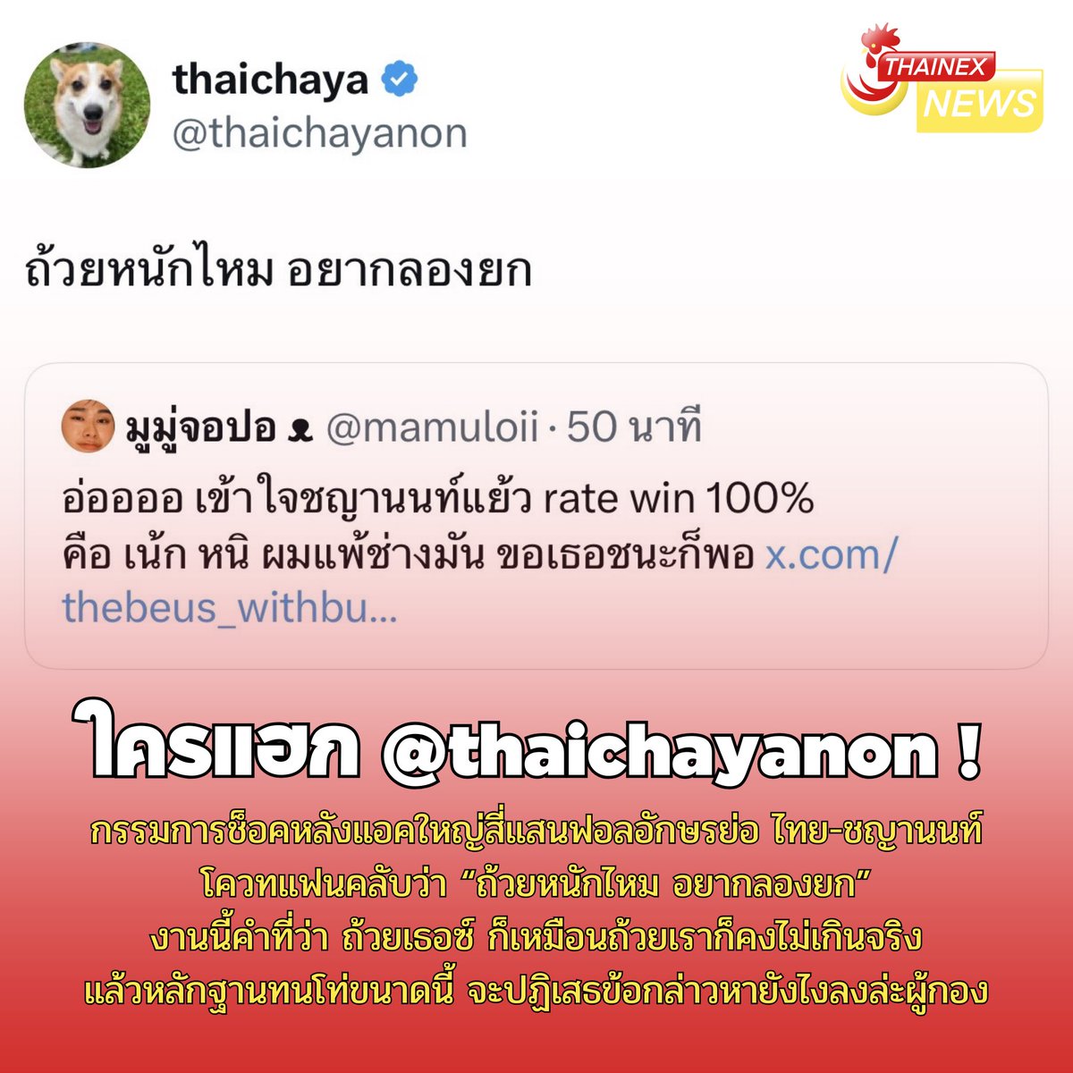 THAINEXNEWS tweet media