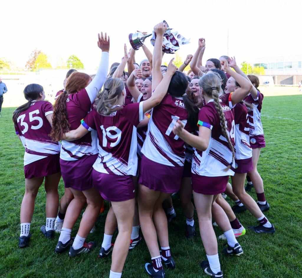 The Camogie Association tweet media