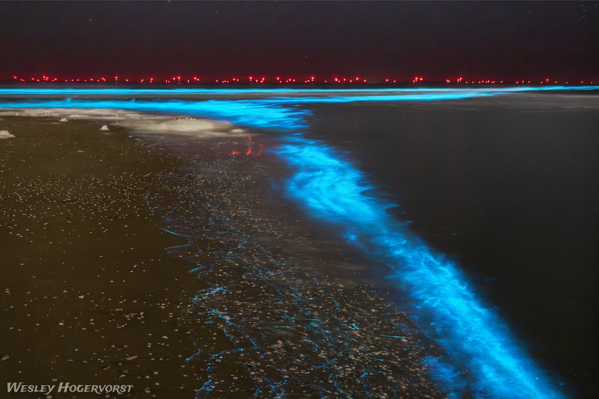 Gisteravond was er prachtig #zeevonk te zien in Katwijk aan zee! 🌊📸

<a href="/StormchaserNL/">Wouter van Bernebeek</a> 
<a href="/helgavanleur/">Helga van Leur ☀</a>