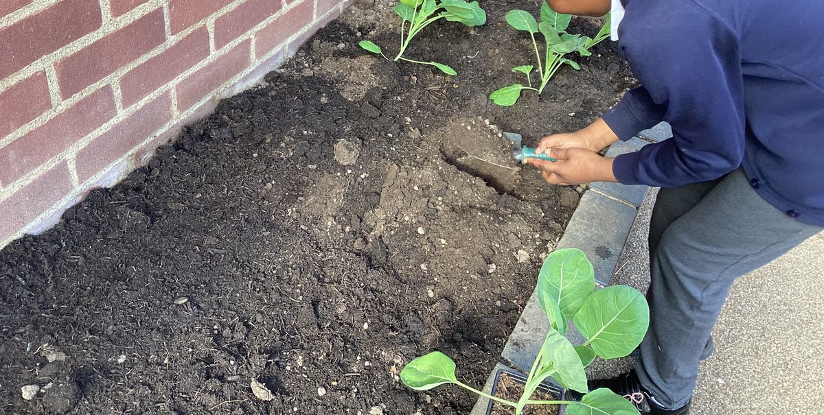CromwellPrimary's tweet photo. Our amazing gardeners.
#nature
#nurture https://t.co/f2cXjm2Vwi