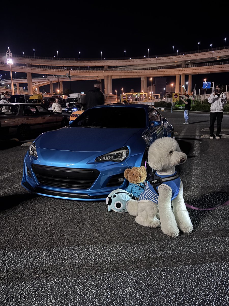 可愛いお犬様と写真撮れたの嬉しすぎる激カワでした🤤