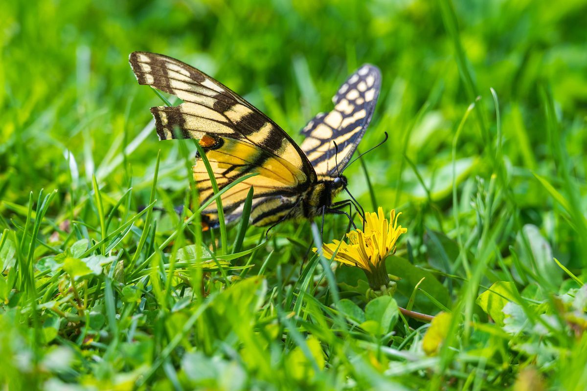 clevemetroparks's tweet photo. Mother's Day but make it outdoorsy. 🥾🍃🌷 https://t.co/WHptfRwyDw