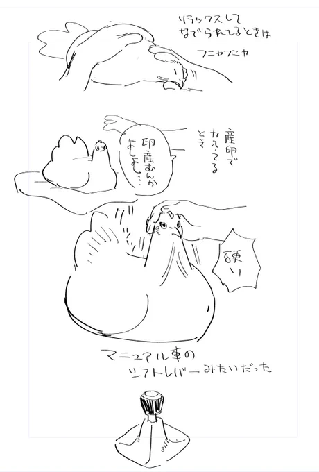 力んでるときの鶏は硬い 