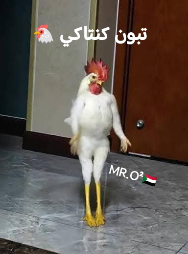 Mr.O² 🇸🇩 tweet media