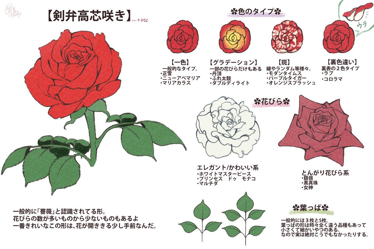 過去に薔薇ちょっとまとめてたの、描いてたな··(再掲)