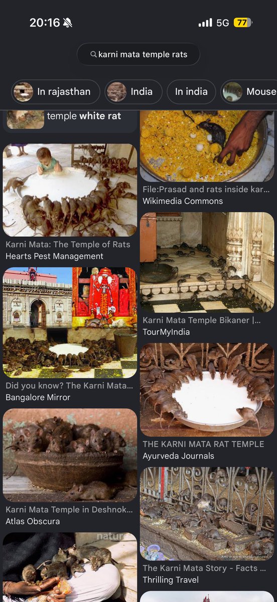𝖒𝖊𝖑ヅ tweet media