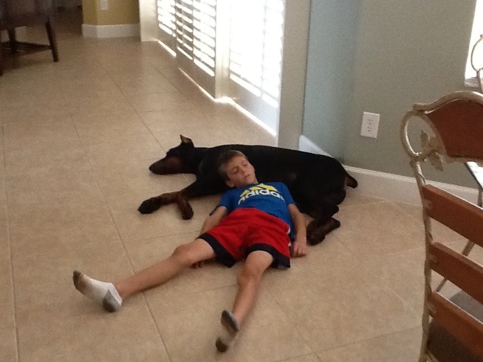 TesM372's tweet photo. @TheFigen_ Works as an effective pillow as well. https://t.co/CLriW05kDx