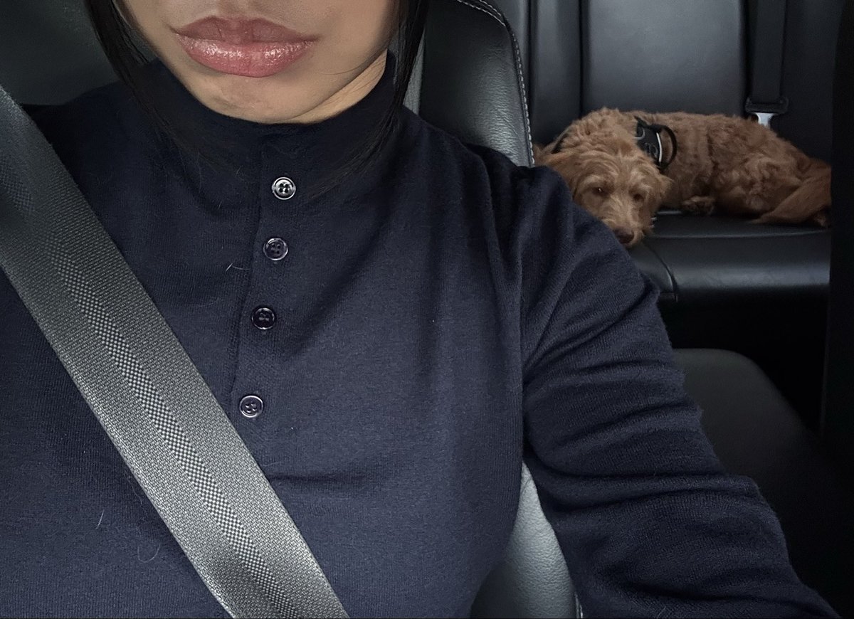 mfv____'s tweet photo. Felt like posting here

<3 to puppy hair on my cardigan https://t.co/UhFZvd03Zx