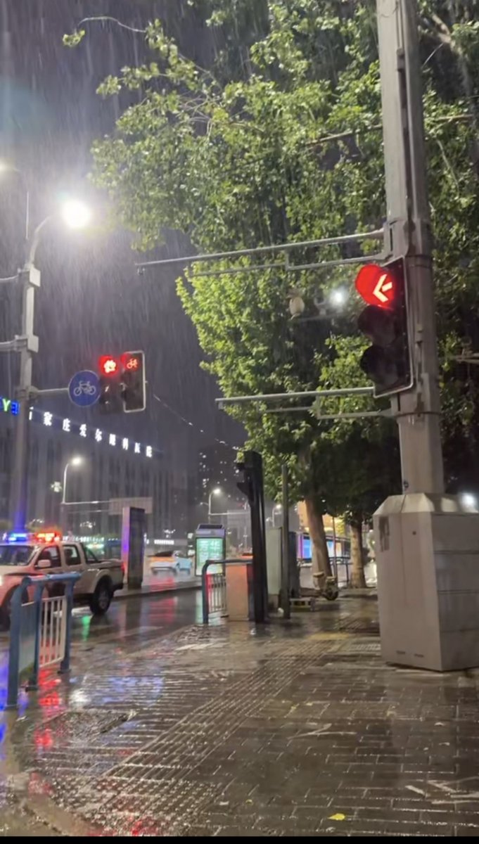 Micio_413's tweet photo. 从泳馆出来雨没这么大，短短五分钟😭
就让这大雨全都落下😖……其实雨也没多大，是风在拼命刮🙃……
到宿舍雨停了😤……
#小狗日记 https://t.co/MLWe9nPEwn