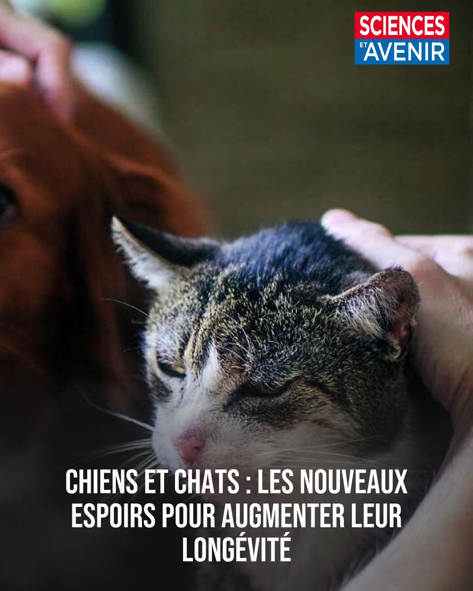 Sciences et Avenir tweet media