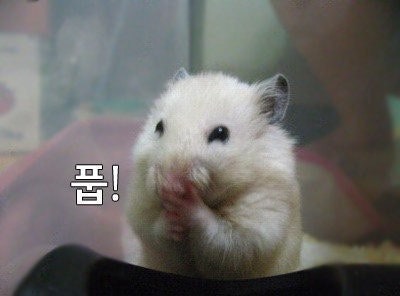 모푸 tweet media