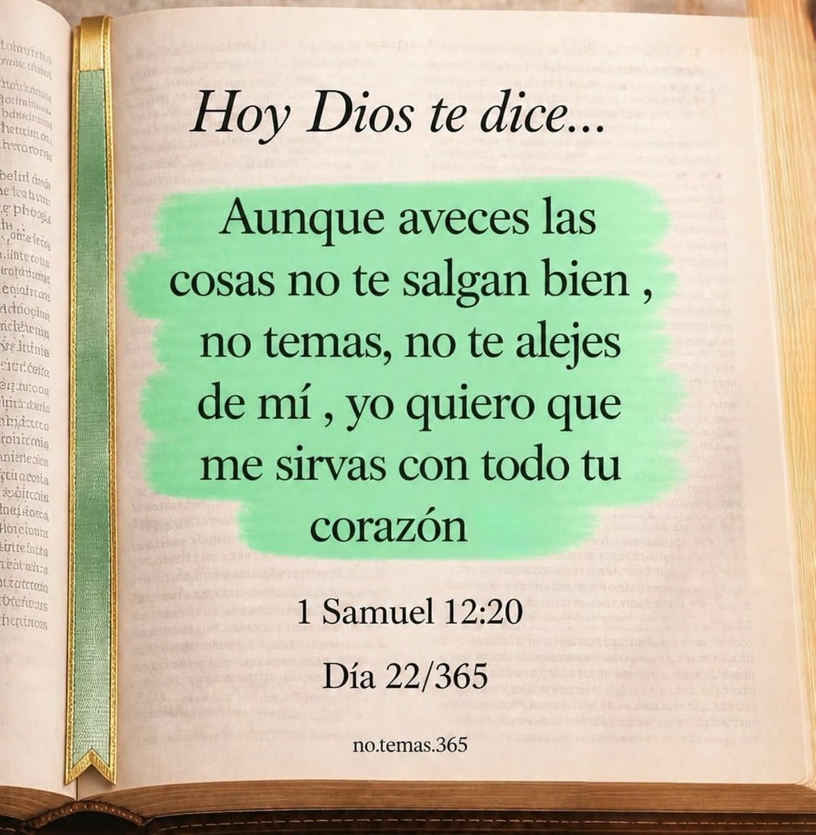 Bernardo Collado (@emelybernardito) on Twitter photo 