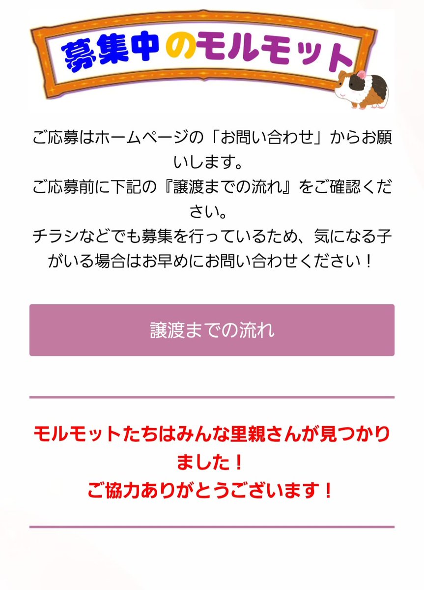 もるもる tweet media