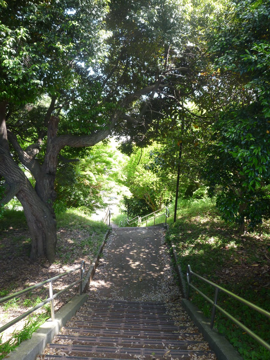 mmbmslrw's tweet photo. 雫になれた https://t.co/r5xYLnwP3O