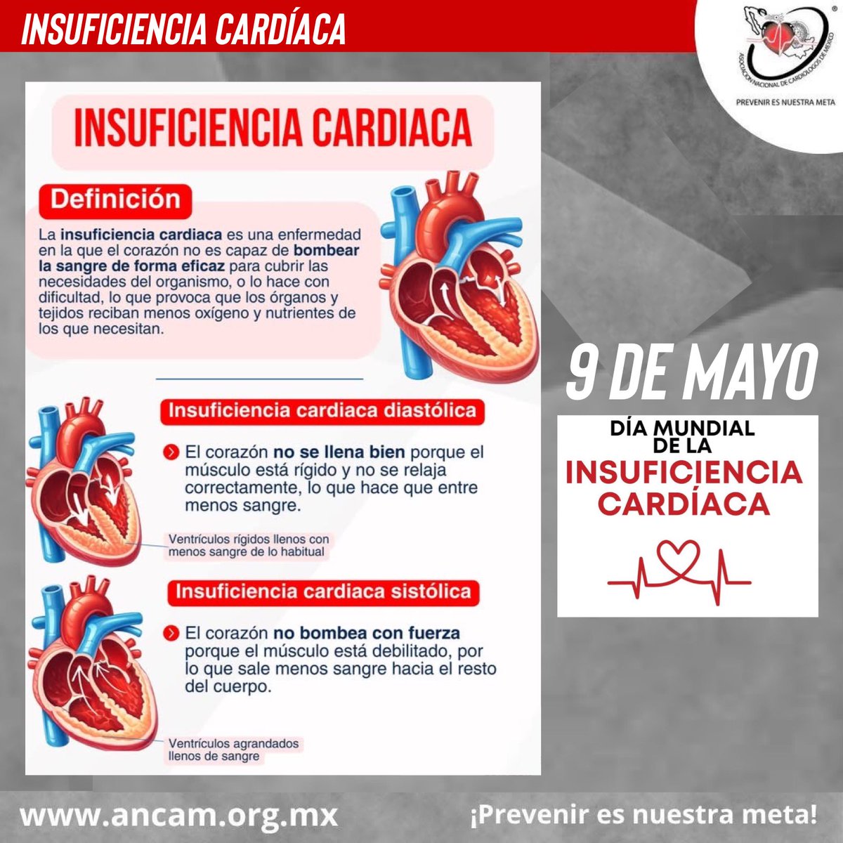 ANCAM México tweet media