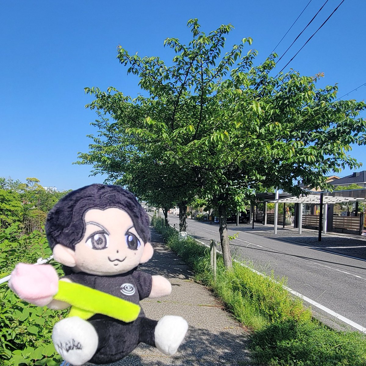 🌸5月11日🐝月曜日🎸💕 🌞おはようございます🐬🏯 ✨1週間のスタート