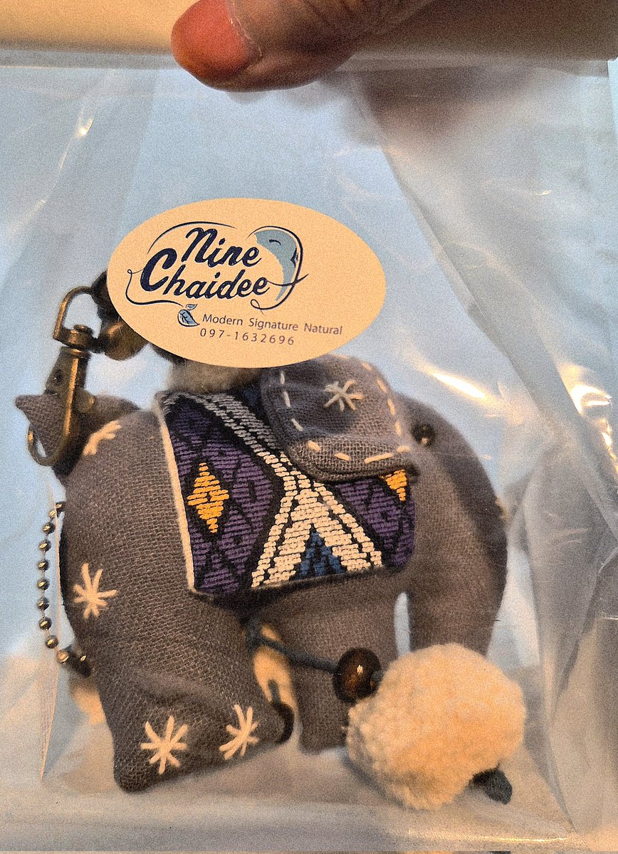 Gulf1202's tweet photo. #タイフェスティバル東京2026
手作りぞうさんキーホルダーのお店で、可愛いぞうさん購入したらミサンガもらえました。
優しいお姉さんが一緒に居た友達の分もミサンガどうぞって､💖
お揃いのミサンガもらいました😊 https://t.co/t20gyKLMBT