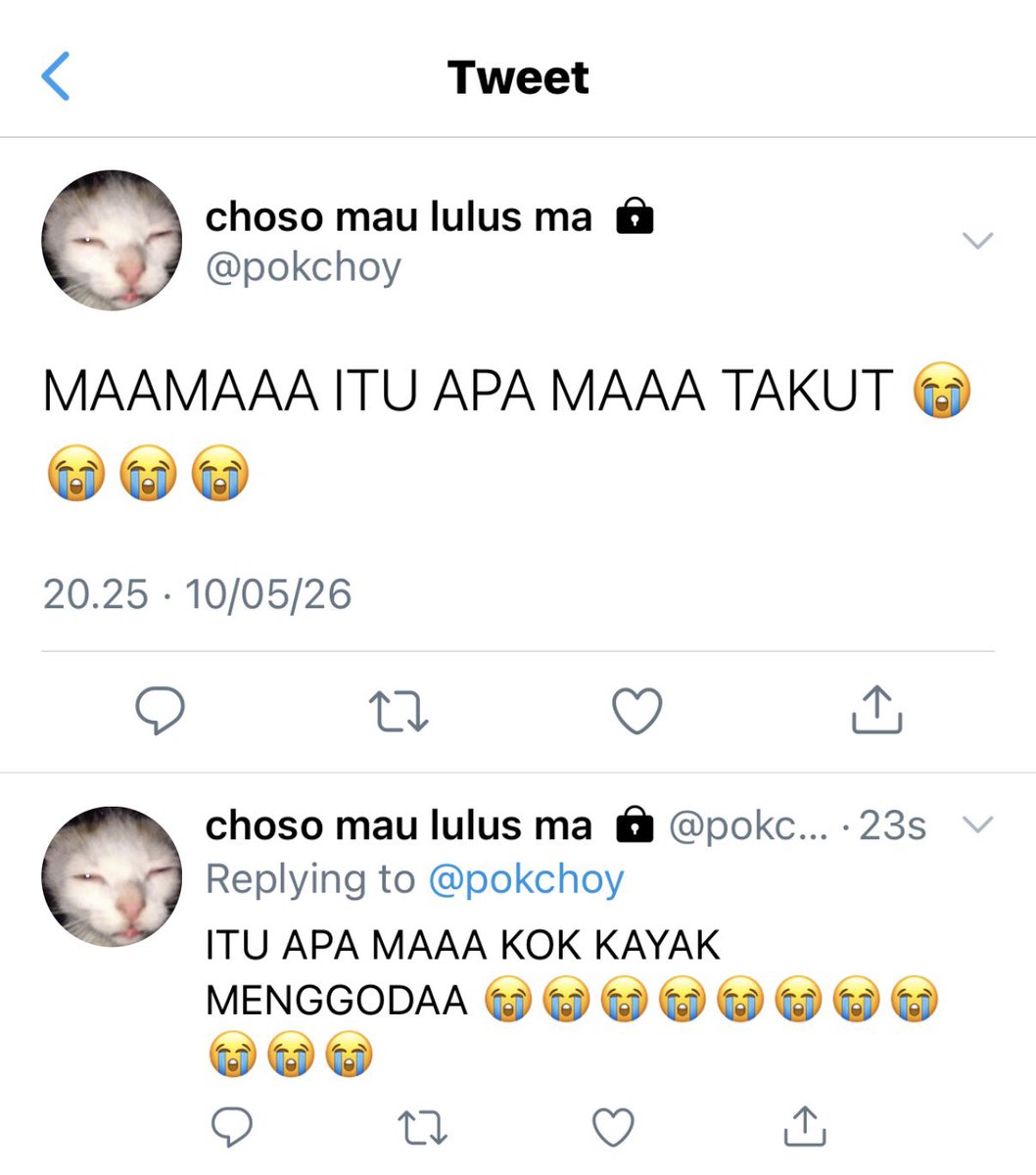 mai tweet media