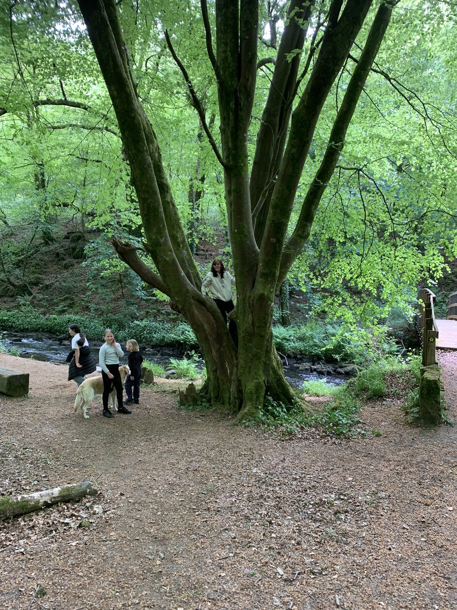 StMaryFishguard's tweet photo. Here are a few photos from our #Rogation walk after the morning service. It was a great joy to pray for our area and God’s blessing on the land. https://t.co/LgEFUTcpWY