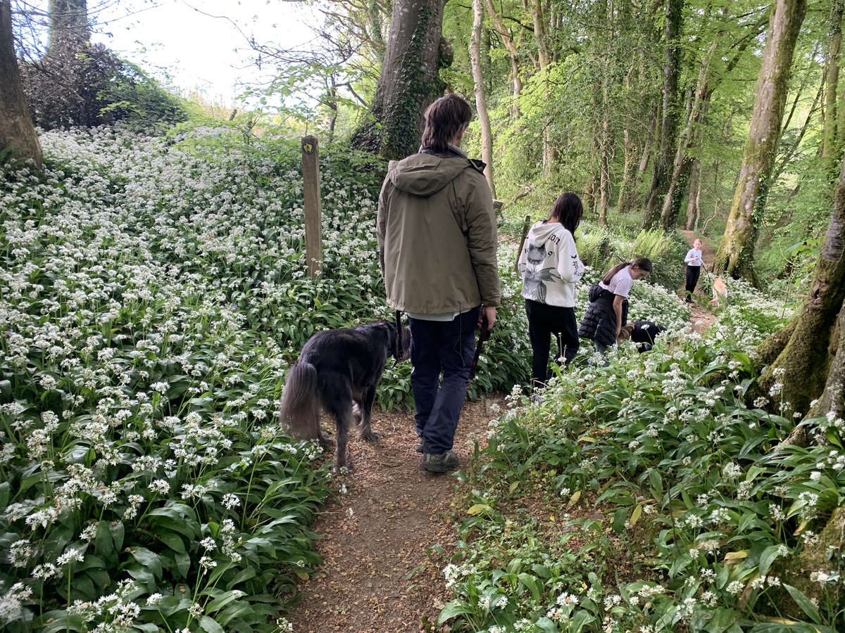 StMaryFishguard's tweet photo. Here are a few photos from our #Rogation walk after the morning service. It was a great joy to pray for our area and God’s blessing on the land. https://t.co/LgEFUTcpWY