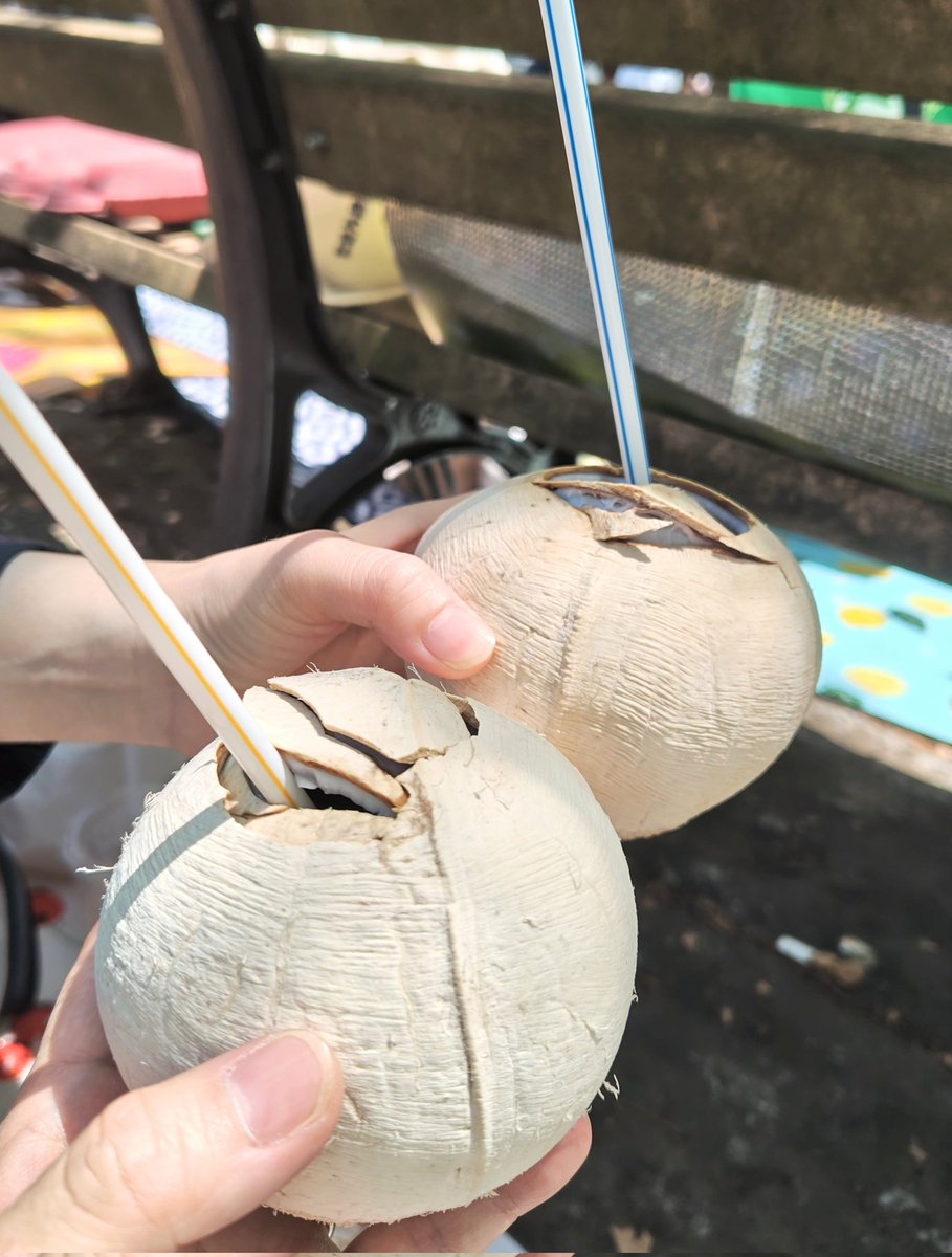 eicom7's tweet photo. タイフェス食べたもの
・パッタイ
・ヤムウンセン
・スイカスムージー
・ココナッツアイス
・マンゴー
・ココナッツジュース
去年も同じもの食べてるー
だって美味しいから！ https://t.co/B2Tgun2qBt