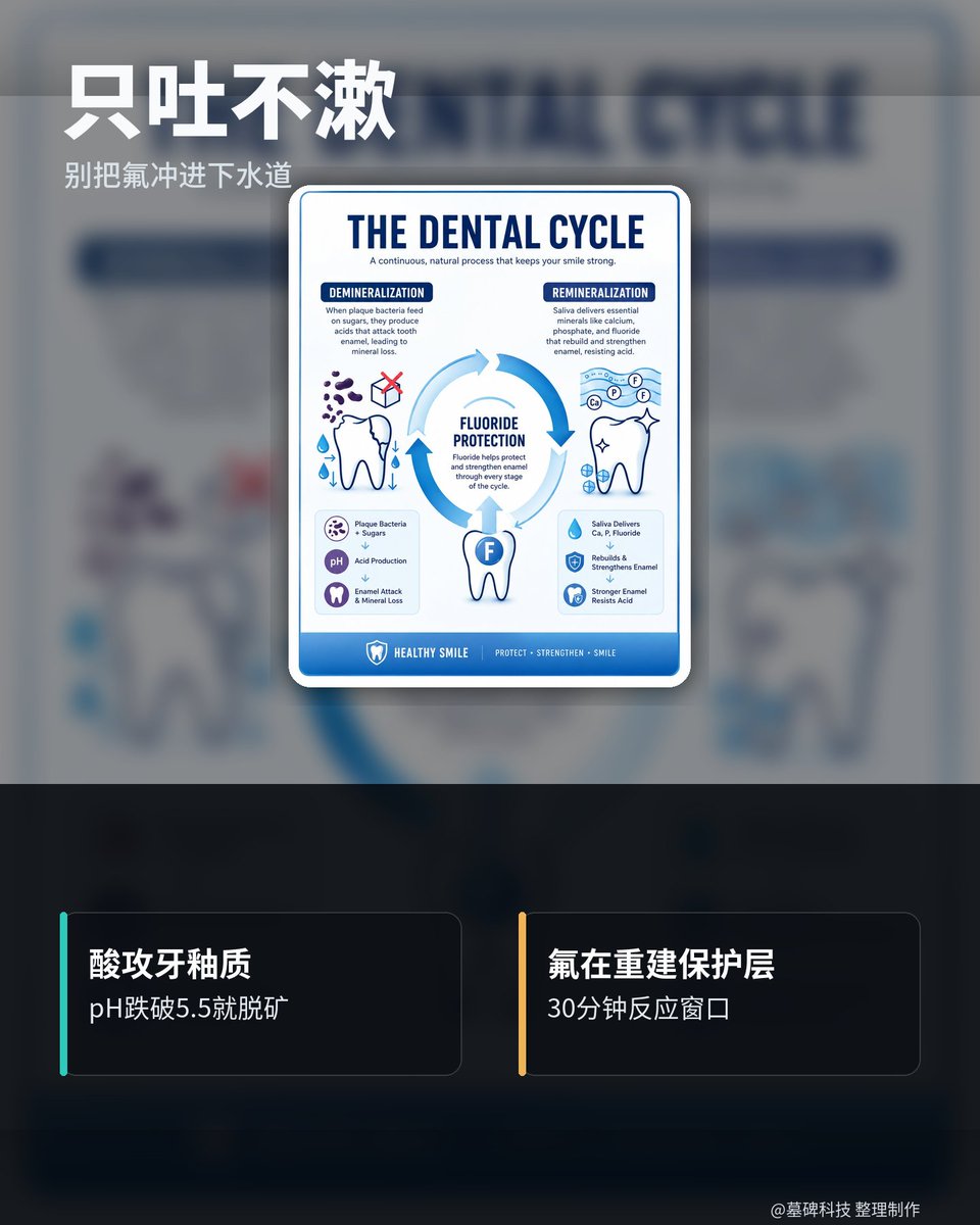 墓碑科技 tweet media