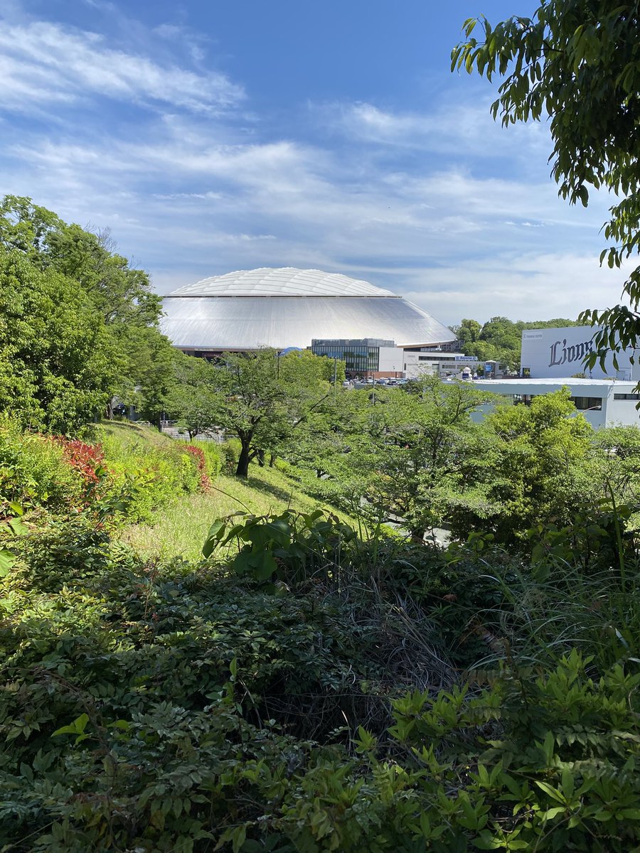 SHIGAMIKI's tweet photo. UFOいた https://t.co/gJd3o14mVD