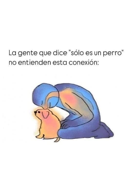 Max 🇦🇷 tweet media