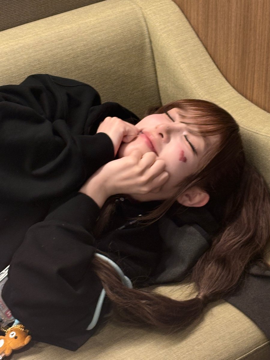 뽀삐 tweet media