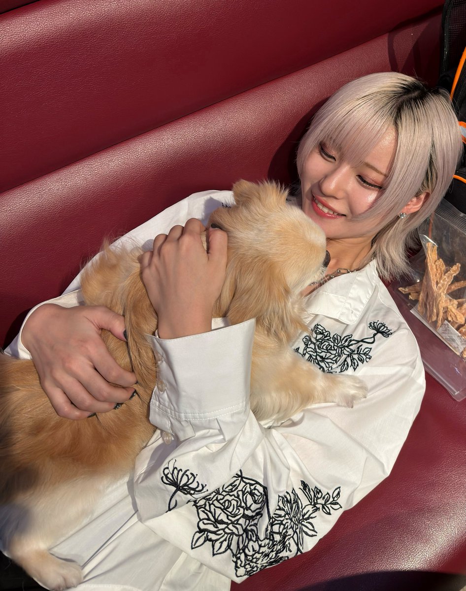 けんたろー@NUMBER50 (@kennntaroooy) / Posts / X