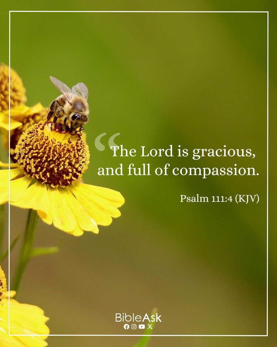 BibleAsk's tweet photo. God’s grace and compassion never run out. He meets us with kindness, even when we do not deserve it, and lifts us with His love.

#VerseOfTheDay #GodIsGracious #CompassionOfGod #BibleVerse #ChristianFaith #DailyScripture 📖✨🙏 https://t.co/hYzx3PhvJA