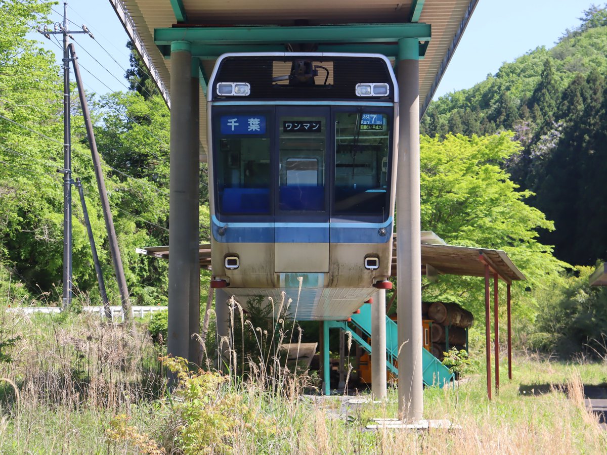 マロキチ tweet media