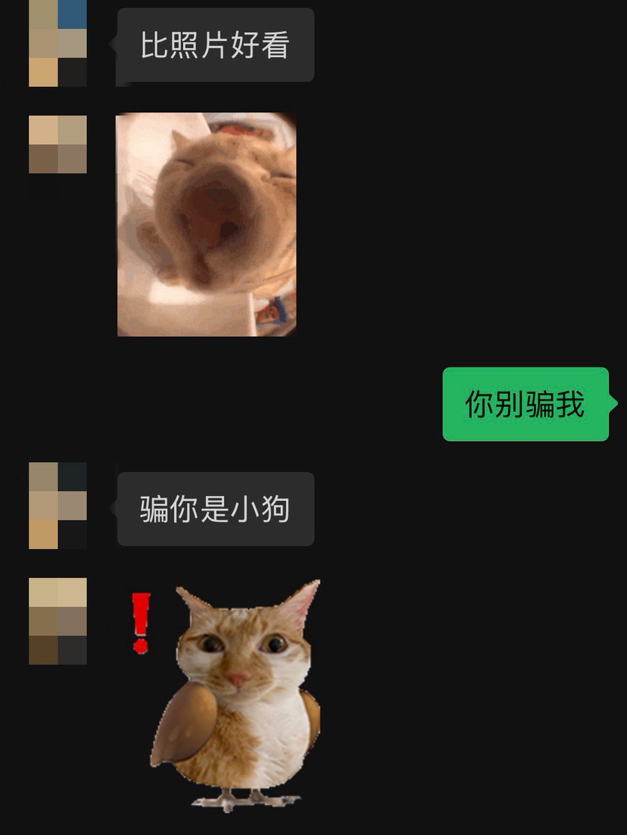 xiaoxin1201's tweet photo. 爱听，会说多说🤩#男大 https://t.co/KS54DRGfrS