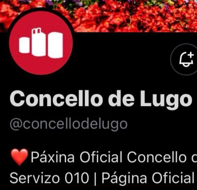 PSOE Concello de Lugo tweet media