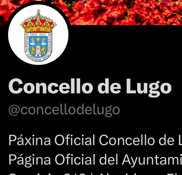 PSOE Concello de Lugo tweet media