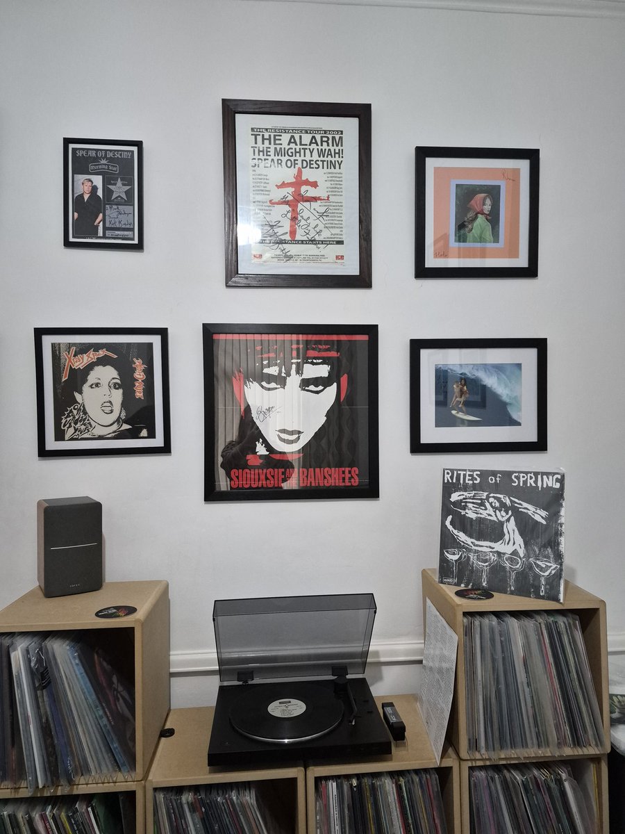DebsHol50's tweet photo. #ritesofspring with Spring, #punk #punkrock #vinyl #vinylrecords #recordcollection. ๐ค๐๐ค๐ผ๐ธ๐น https://t.co/Cz5yUSZfsY