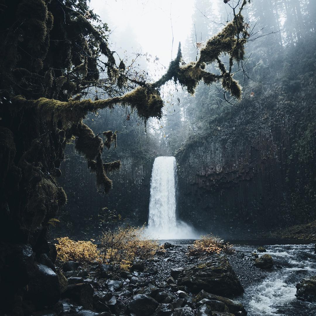 visualsofearth1's tweet photo. The PNW https://t.co/lXhMvAUzuV