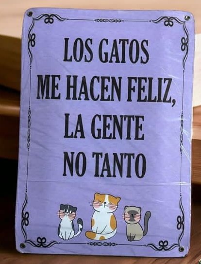 Corazón Gatuno tweet media