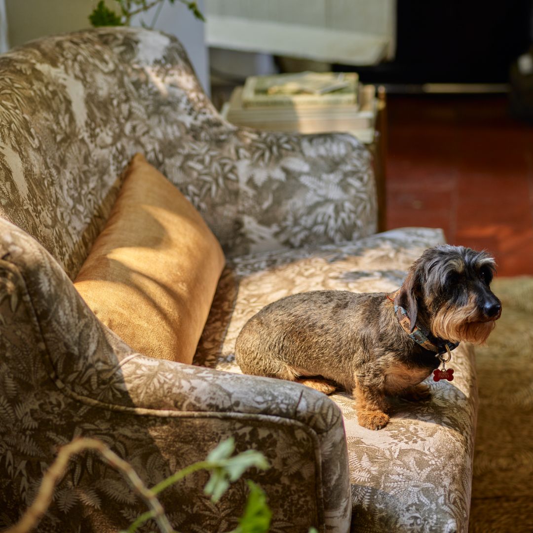 Sofas & Stuff tweet media