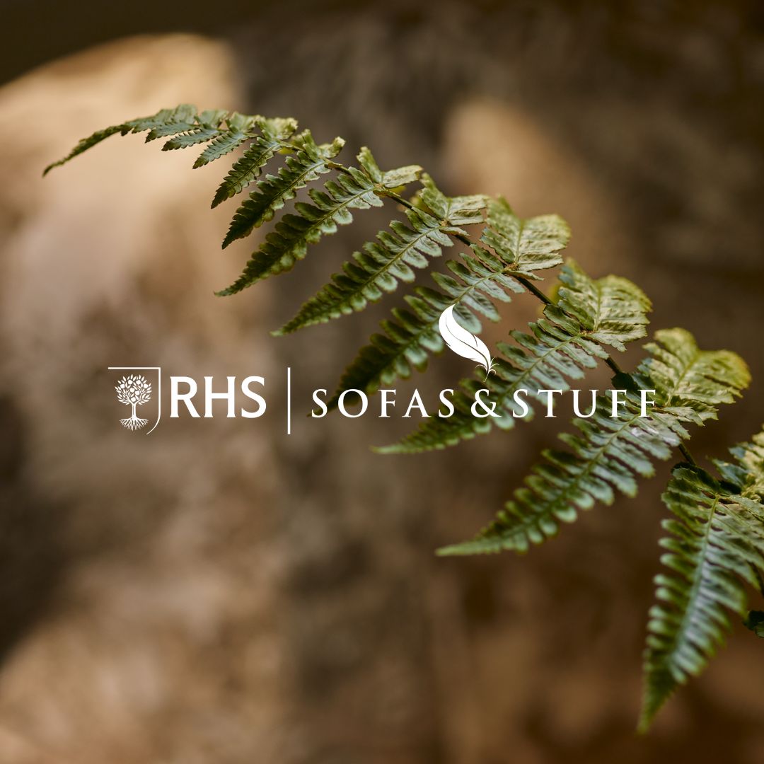 Sofas & Stuff tweet media