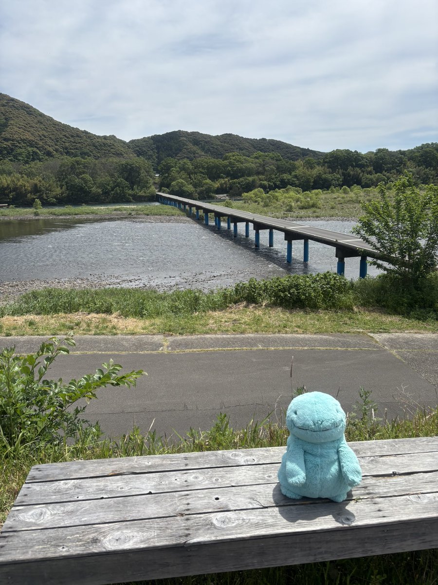 淡谷 tweet media