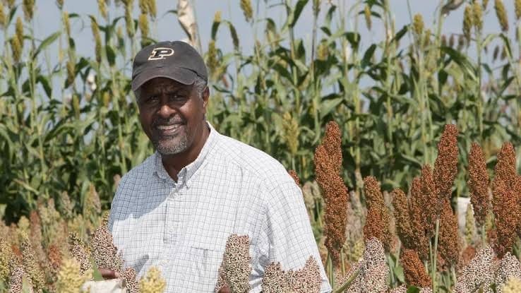 AbayTimes's tweet photo. Gebisa Ejeta's groundbreaking research on drought-resistant sorghum has earned him a spot in the National Inventors Hall of Fame. His innovations have transformed agriculture, saving millions from starvation across Africa's most vulnerable regions. A true pioneer in plant gene... https://t.co/9aWcwPJypS
