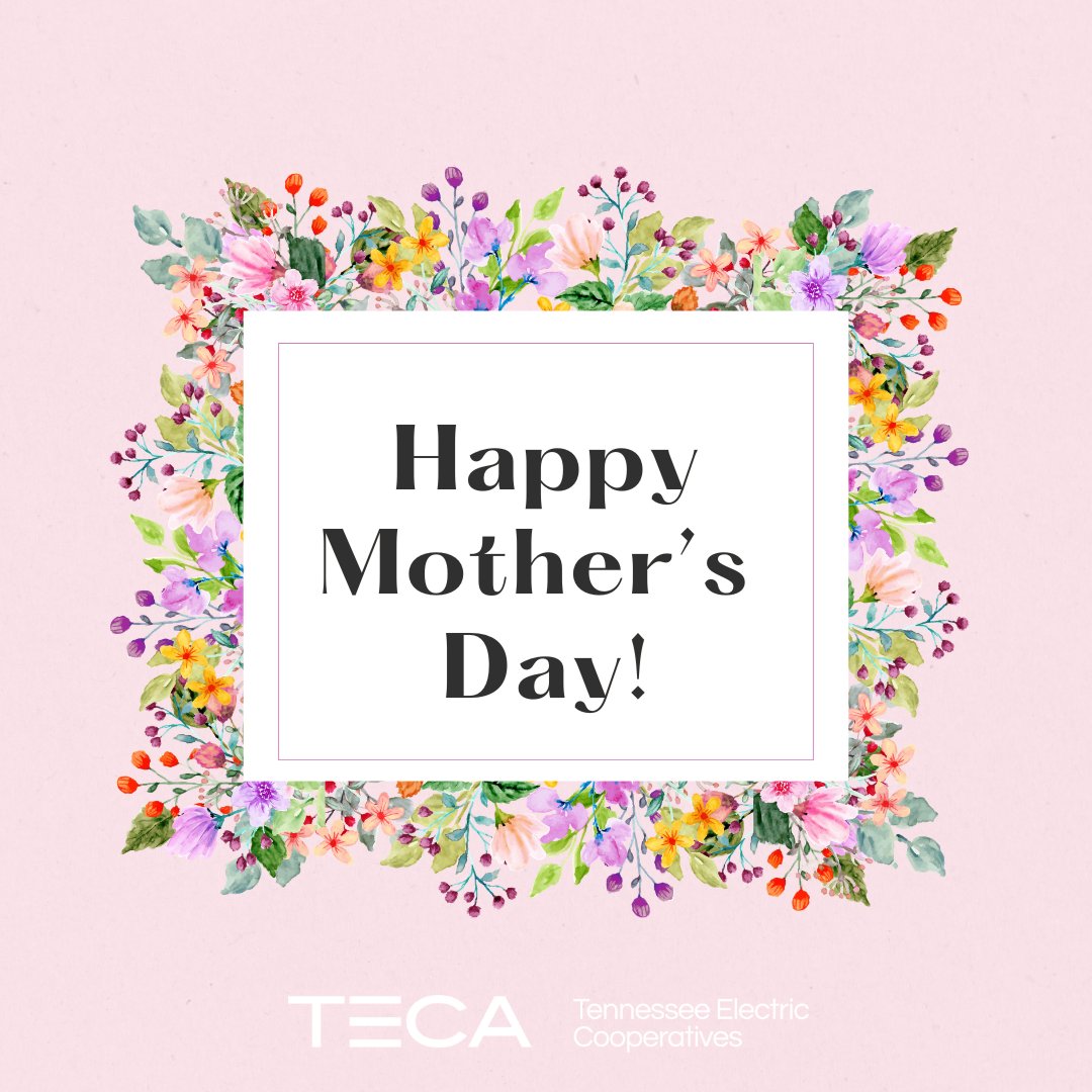 TNELECTRIC's tweet photo. Happy Mother’s Day to the women who keep their families — and our communities — powered with love. 💡💐 Thank you for everything you do, today and every day. https://t.co/T3z4DxYeeD